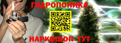 а пвп мука Можга