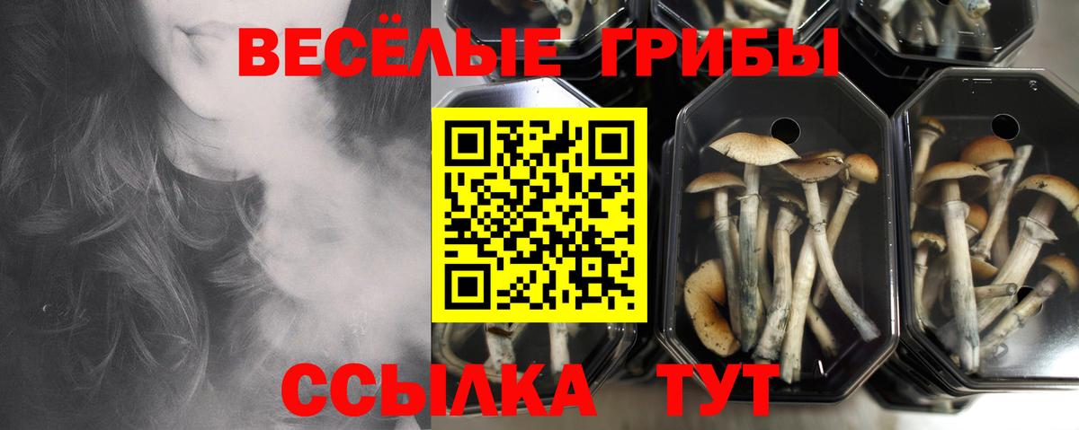 Псилоцибиновые грибы мицелий  Вход с VPN  Урюпинск 